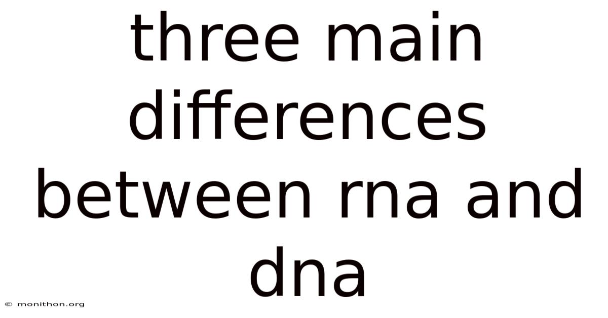 Three Main Differences Between Rna And Dna