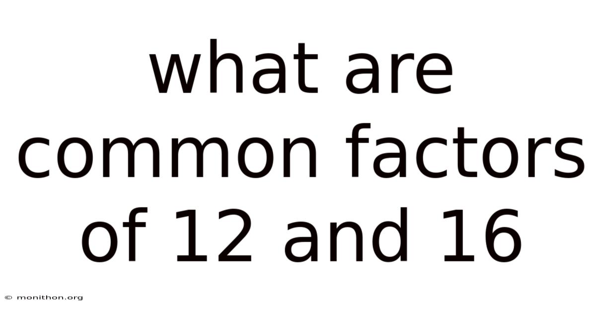 What Are Common Factors Of 12 And 16