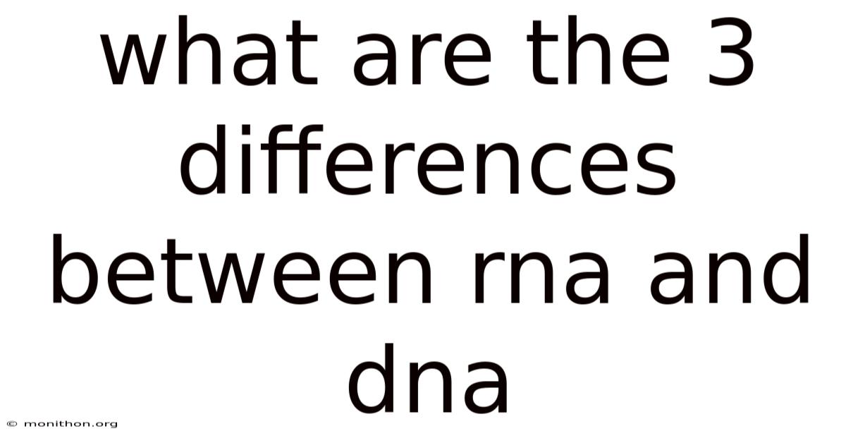 What Are The 3 Differences Between Rna And Dna