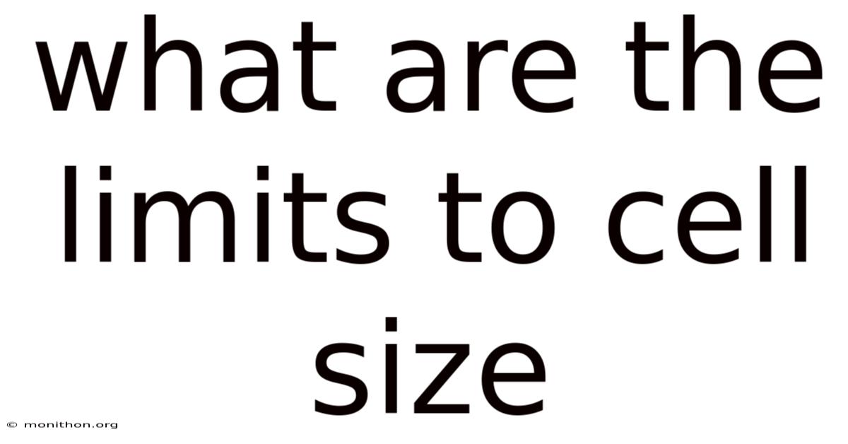 What Are The Limits To Cell Size