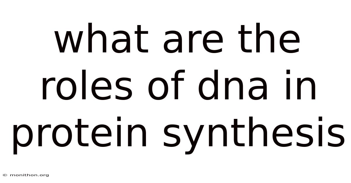 What Are The Roles Of Dna In Protein Synthesis