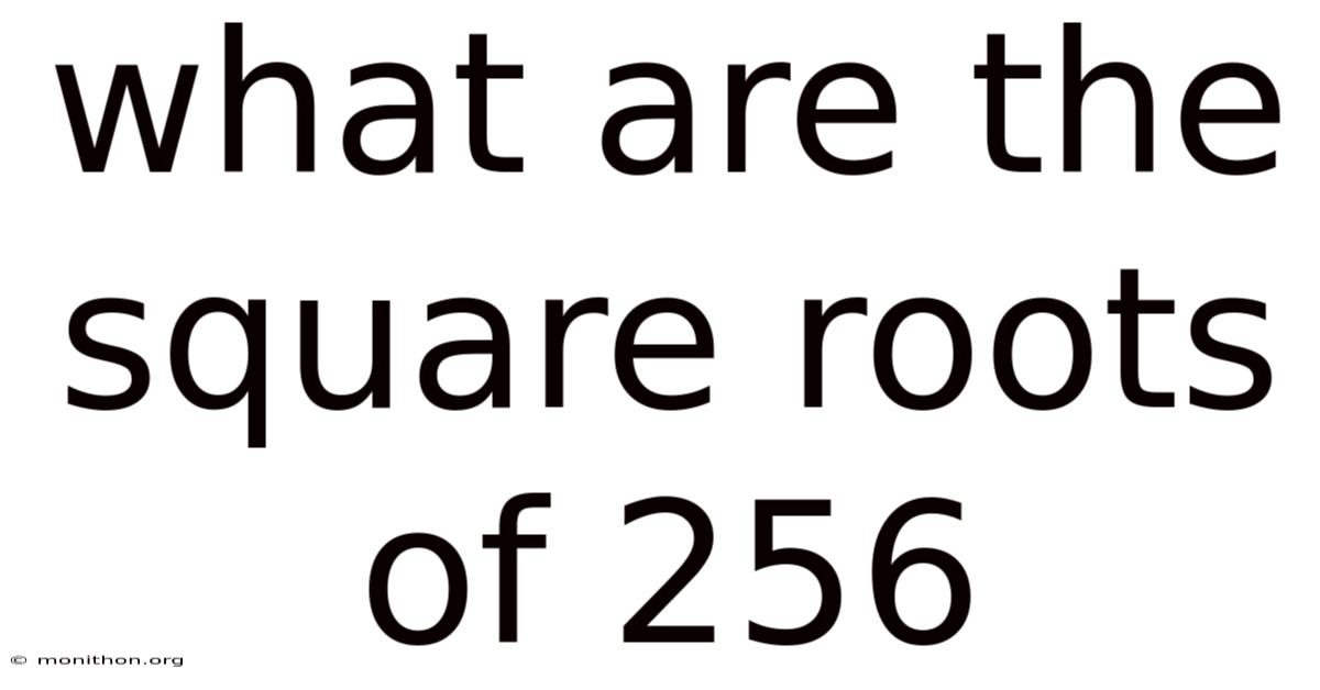 What Are The Square Roots Of 256