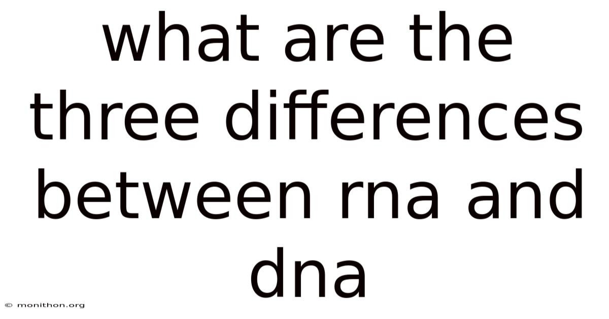 What Are The Three Differences Between Rna And Dna