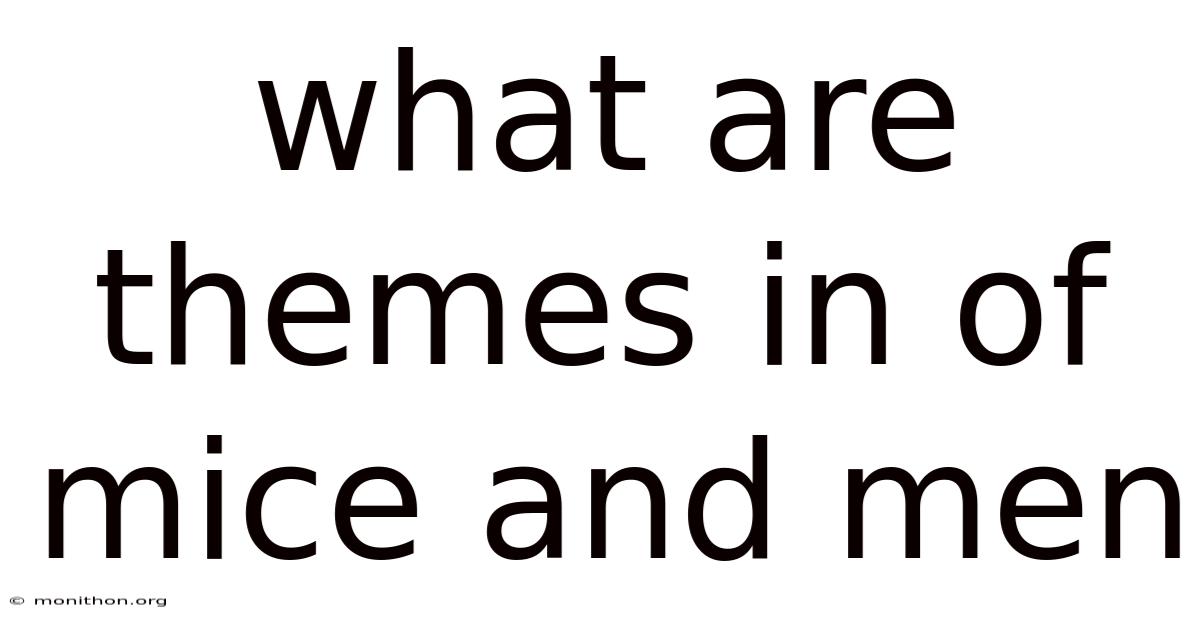 What Are Themes In Of Mice And Men