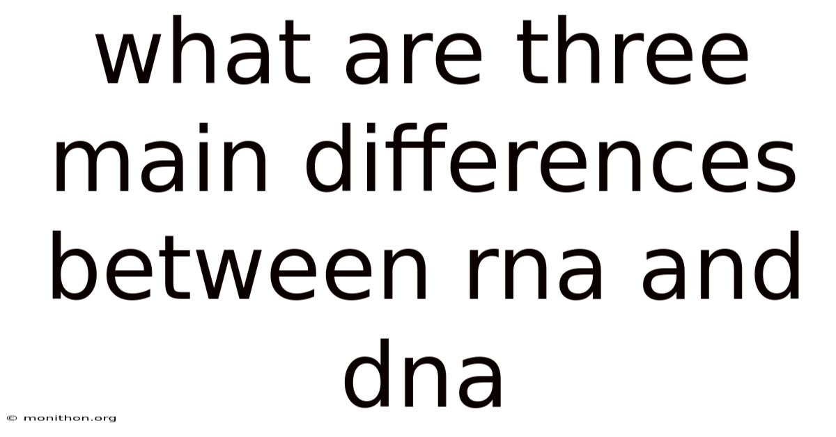 What Are Three Main Differences Between Rna And Dna