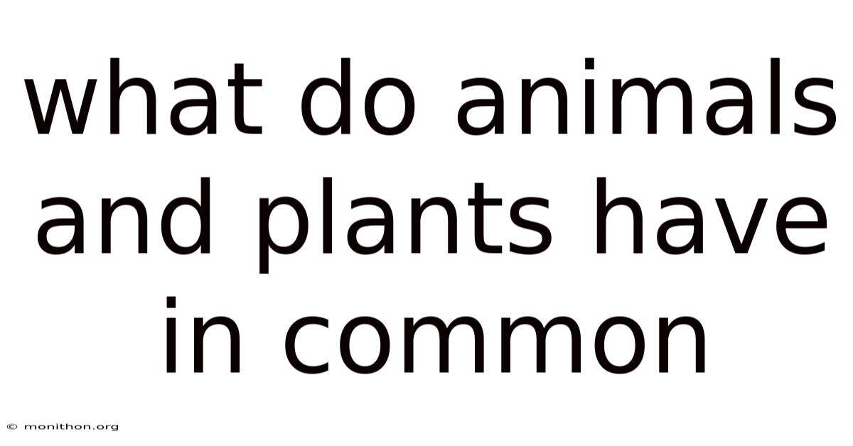 What Do Animals And Plants Have In Common