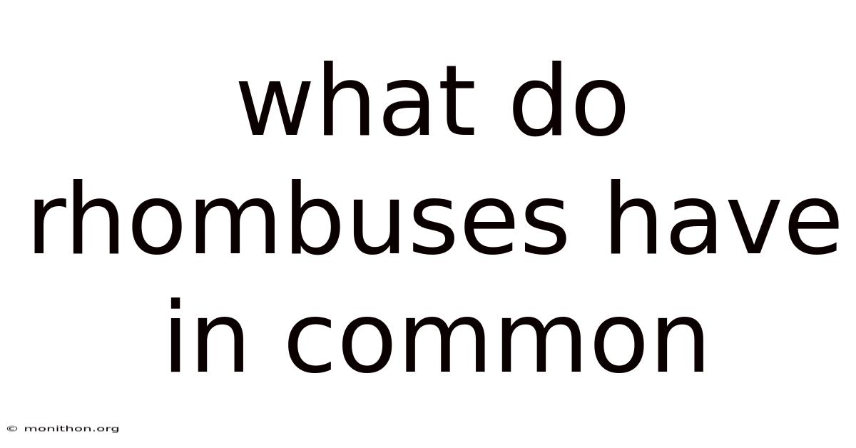 What Do Rhombuses Have In Common