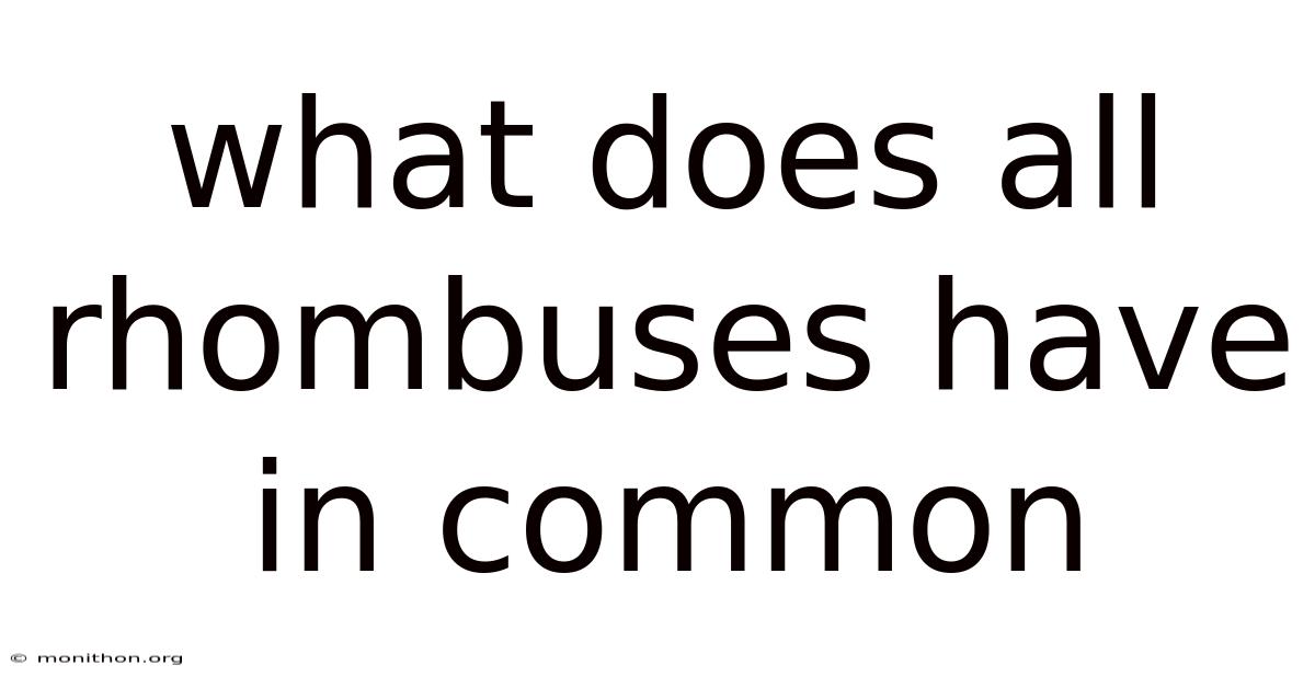 What Does All Rhombuses Have In Common