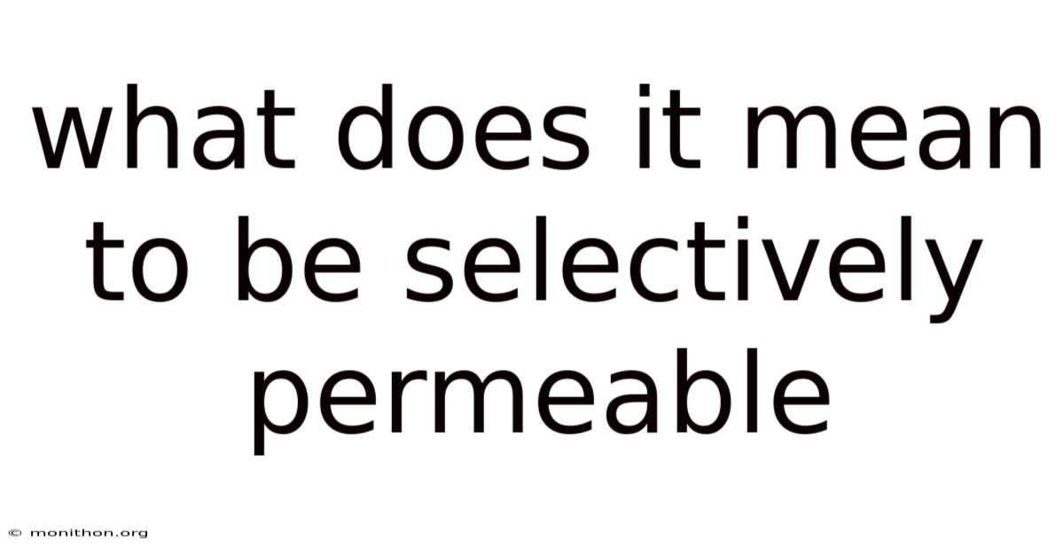 What Does It Mean To Be Selectively Permeable