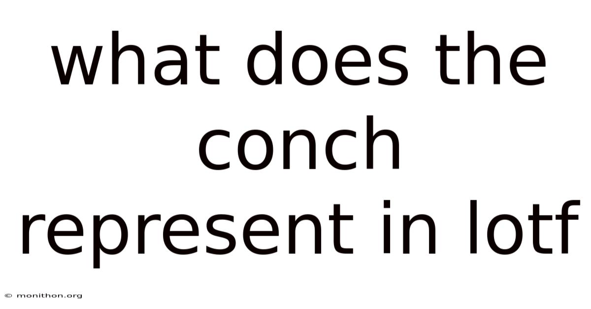 What Does The Conch Represent In Lotf