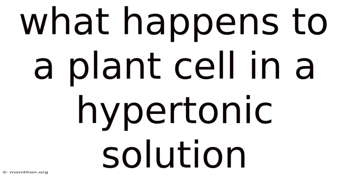 What Happens To A Plant Cell In A Hypertonic Solution