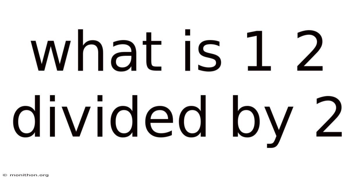 What Is 1 2 Divided By 2