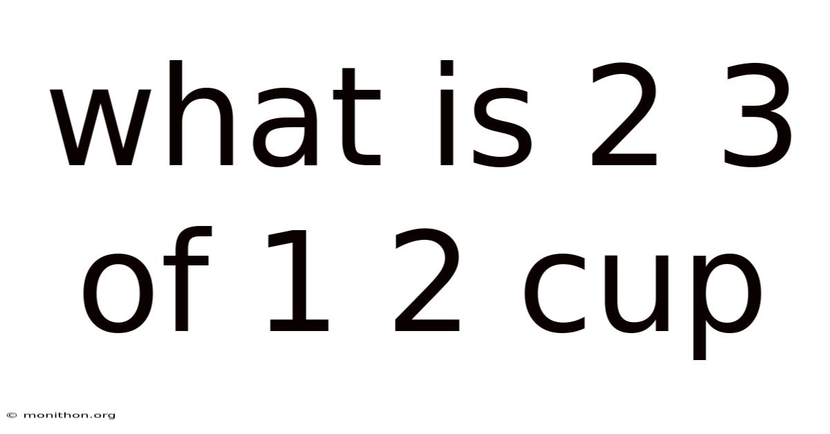 What Is 2 3 Of 1 2 Cup