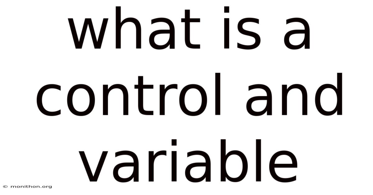 What Is A Control And Variable