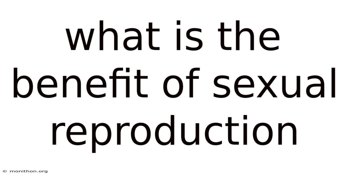 What Is The Benefit Of Sexual Reproduction