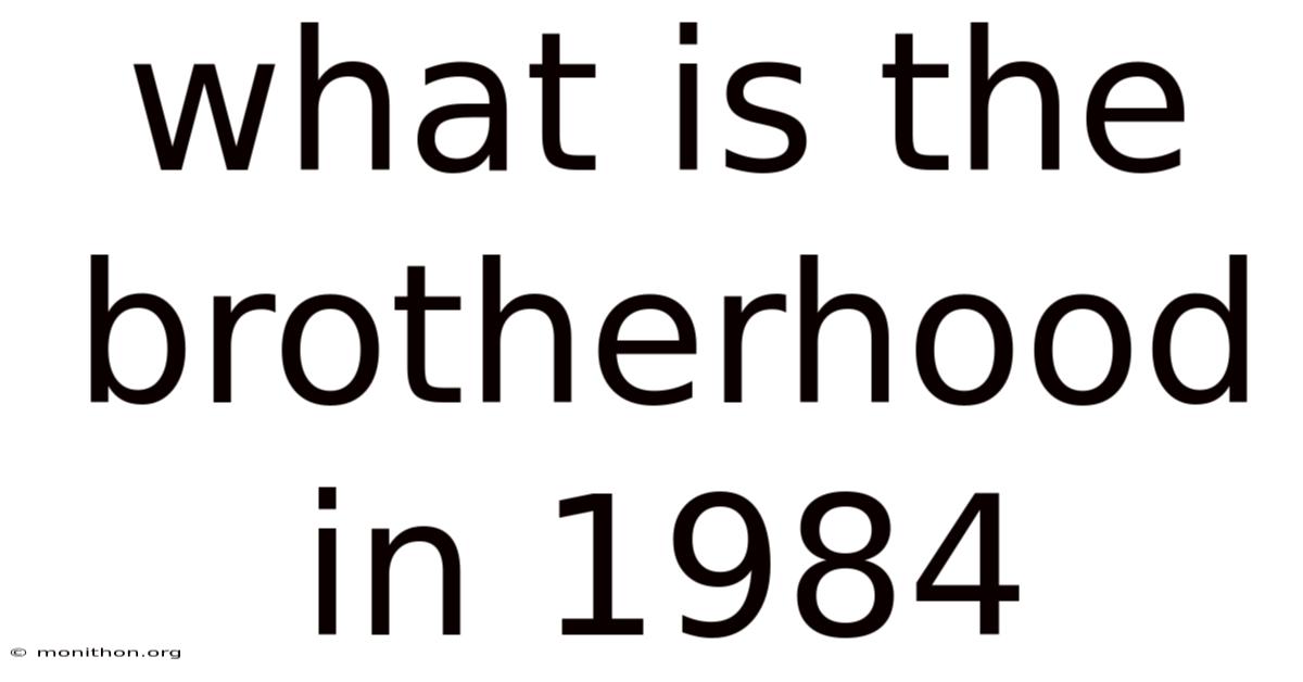 What Is The Brotherhood In 1984