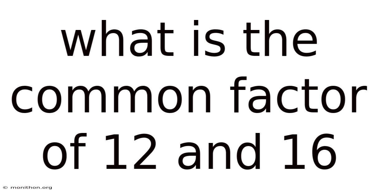 What Is The Common Factor Of 12 And 16