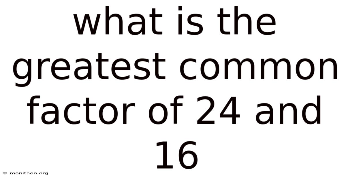 What Is The Greatest Common Factor Of 24 And 16