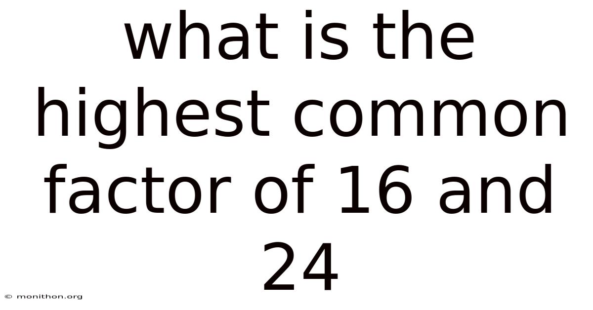 What Is The Highest Common Factor Of 16 And 24