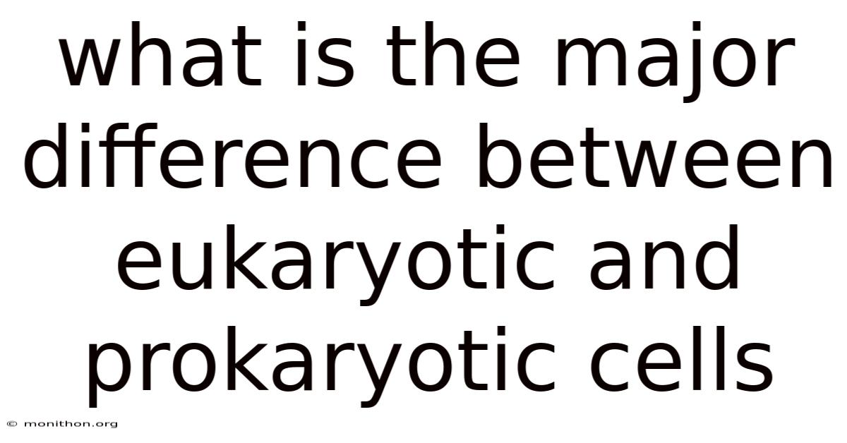 What Is The Major Difference Between Eukaryotic And Prokaryotic Cells