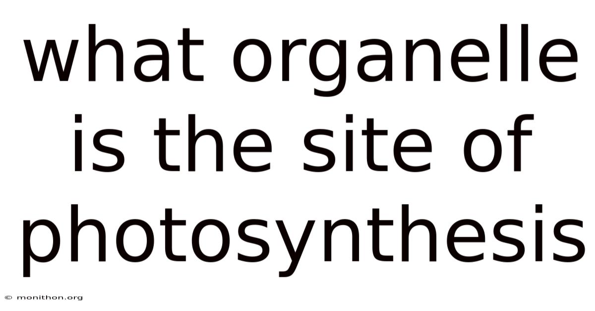 What Organelle Is The Site Of Photosynthesis