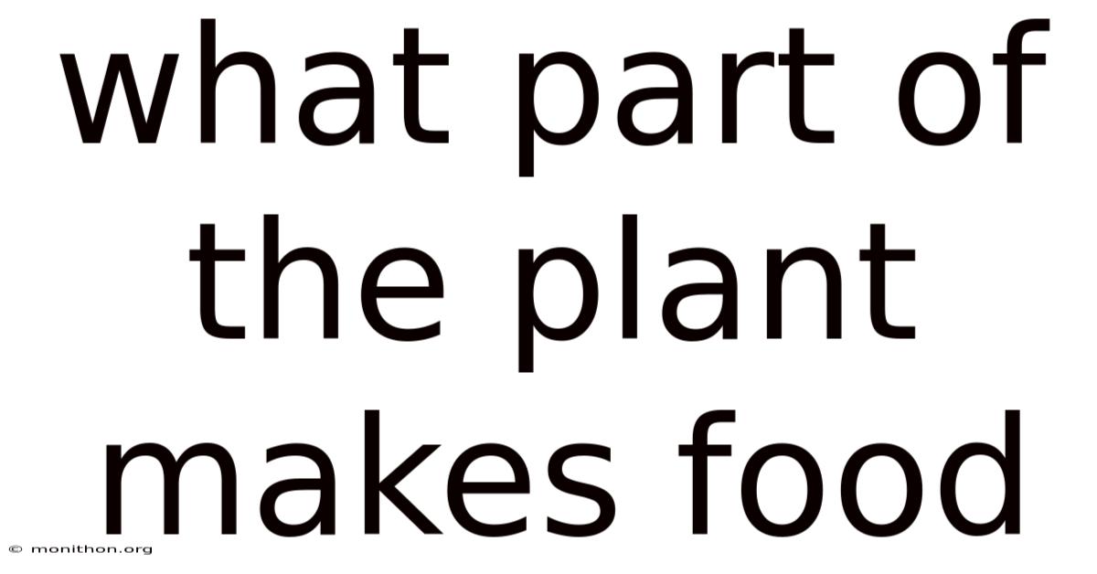 What Part Of The Plant Makes Food