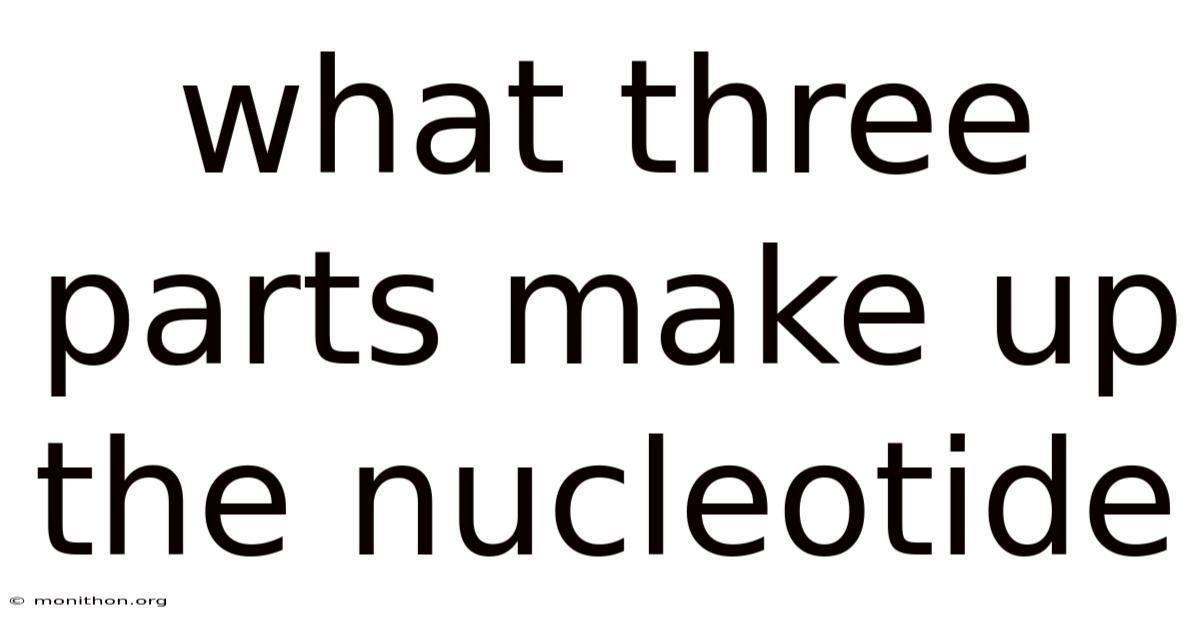 What Three Parts Make Up The Nucleotide