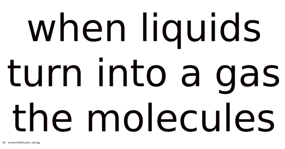 When Liquids Turn Into A Gas The Molecules