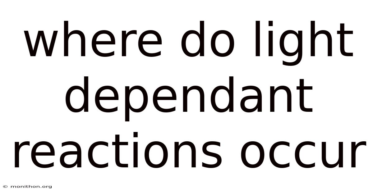 Where Do Light Dependant Reactions Occur