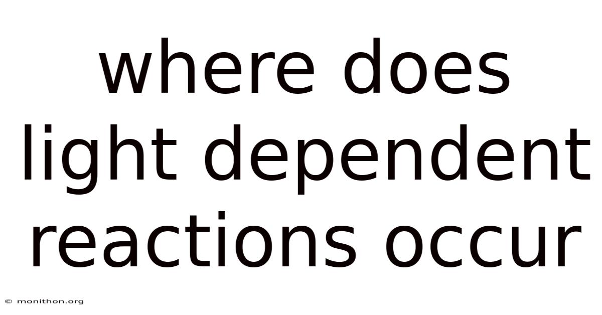 Where Does Light Dependent Reactions Occur