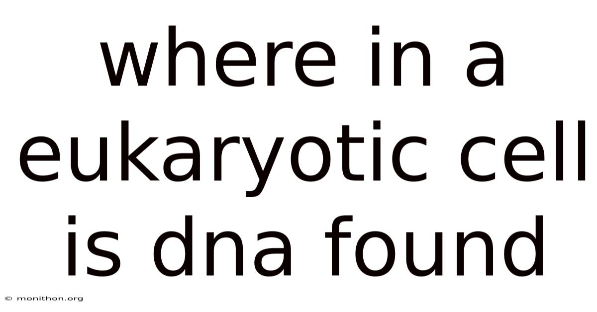 Where In A Eukaryotic Cell Is Dna Found