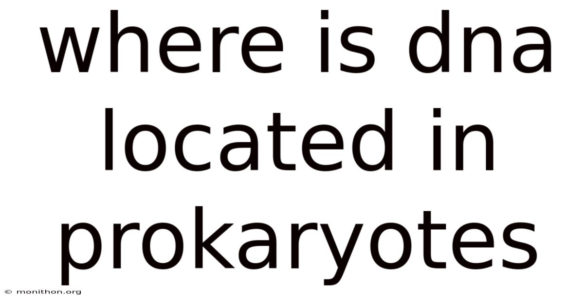 Where Is Dna Located In Prokaryotes