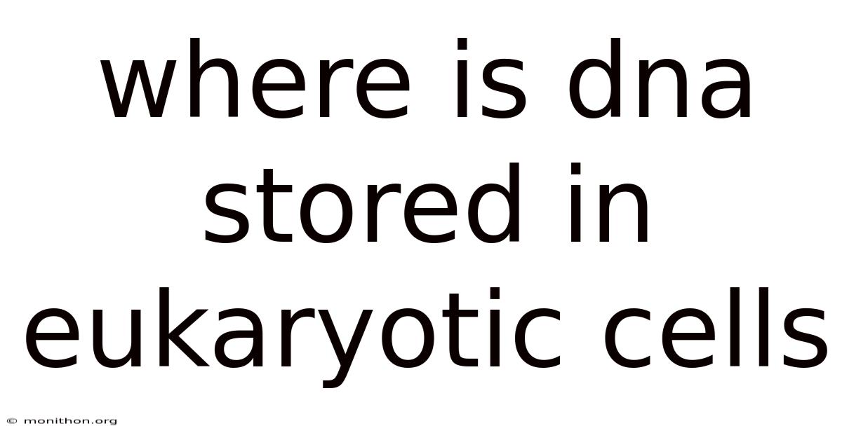 Where Is Dna Stored In Eukaryotic Cells
