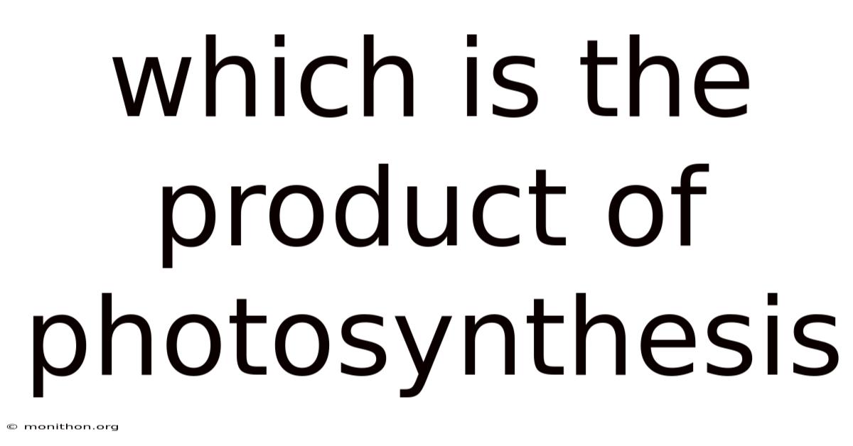 Which Is The Product Of Photosynthesis