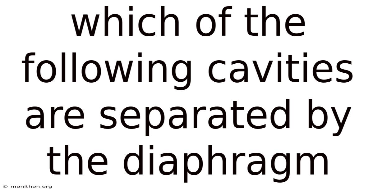 Which Of The Following Cavities Are Separated By The Diaphragm