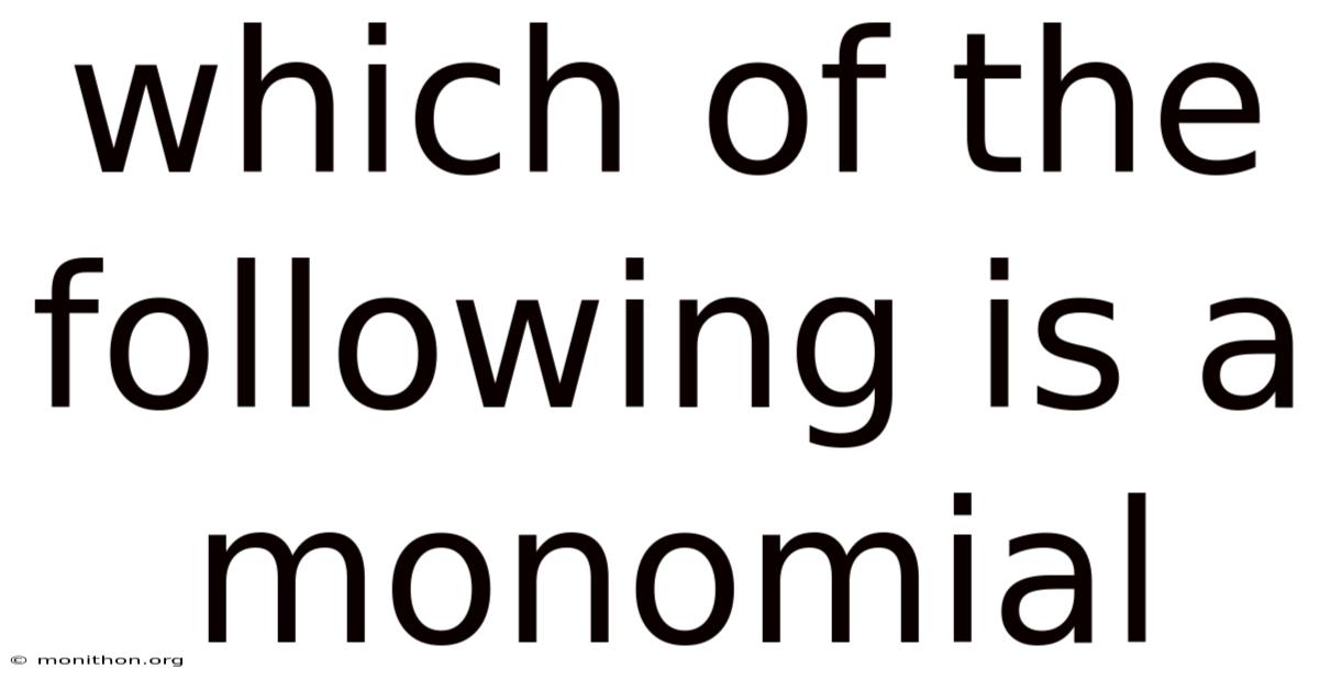 Which Of The Following Is A Monomial