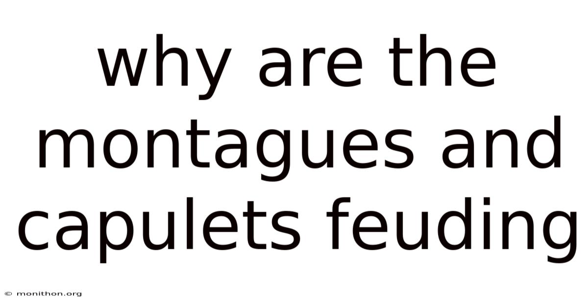 Why Are The Montagues And Capulets Feuding