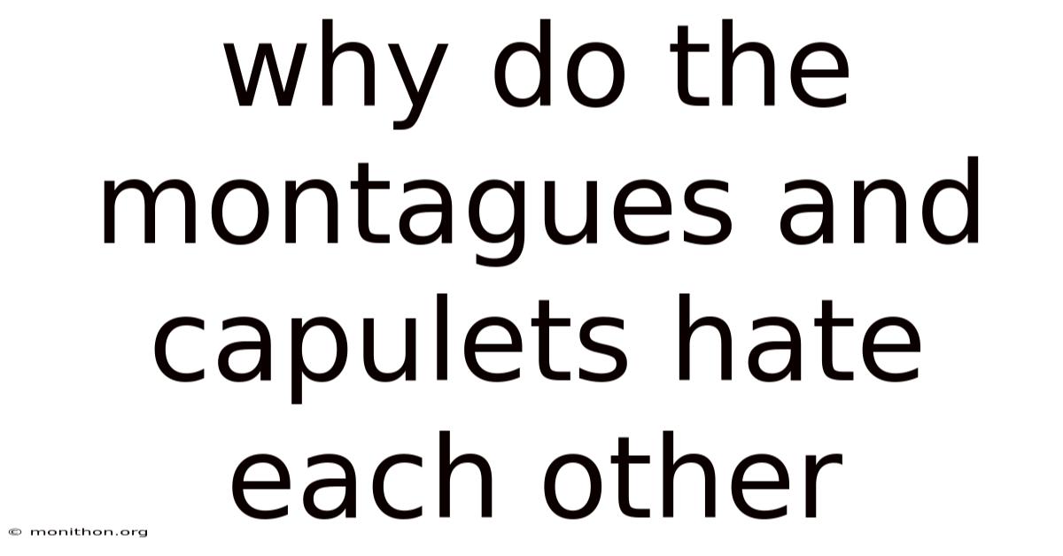 Why Do The Montagues And Capulets Hate Each Other