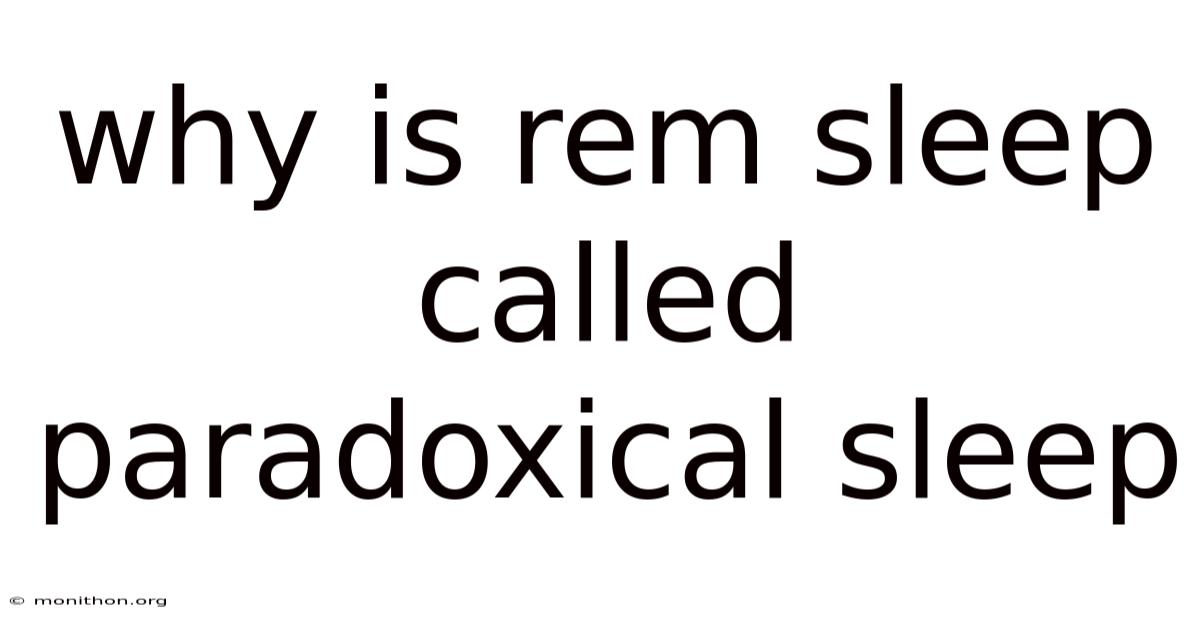 Why Is Rem Sleep Called Paradoxical Sleep
