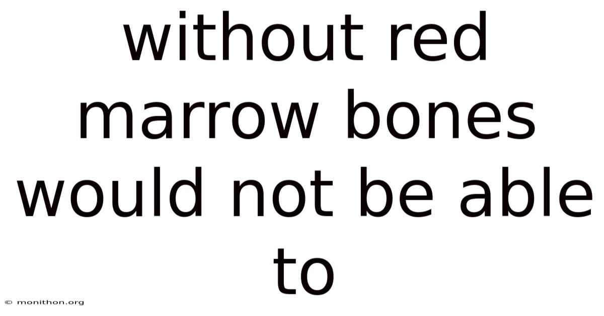 Without Red Marrow Bones Would Not Be Able To