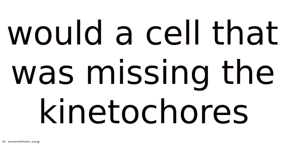 Would A Cell That Was Missing The Kinetochores